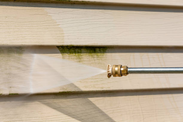 Best Pressure Washing Near Me  in Breckenridge, MN