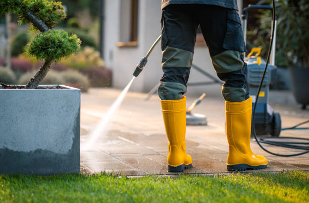 Best Exterior Home Cleaning  in Breckenridge, MN